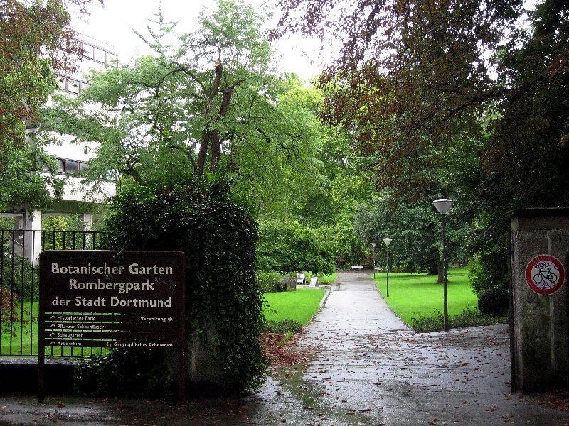 Rombergpark in Dortmund, Landschaftsarchitektur, Landschaftsarchitektur - baukunst-nrw