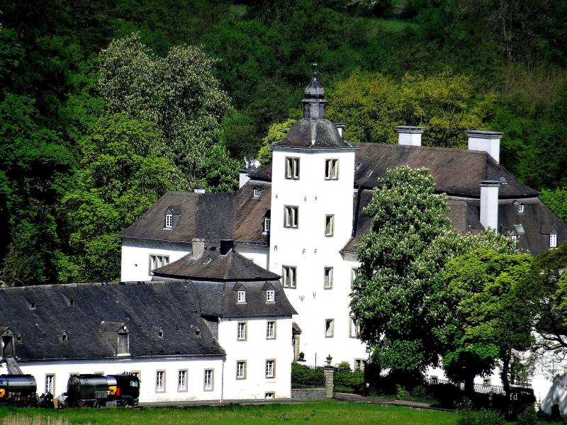 Schloss Laer