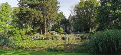 Teich im Botanischen Garten
