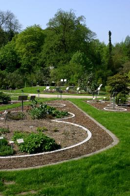 Pflanzensystem im Botanischen Garten der WWU-Münster