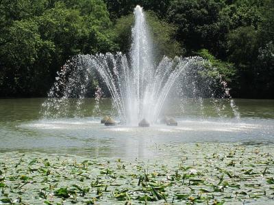Springbrunnen im Seerosenteich, Vier-Jahreszeiten-Park Oelde