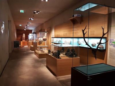 Blick in die Sammlung mit Objekten aus vorrömischer Zeit