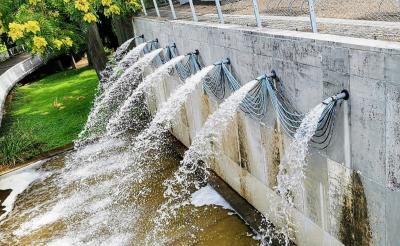 Detailansicht Wasserspeier