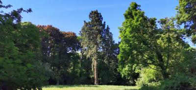 Landschaftsgarten