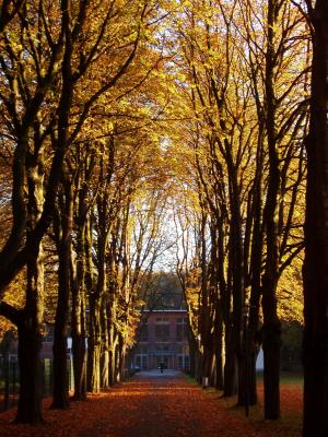 Allee zum Tagungshaus