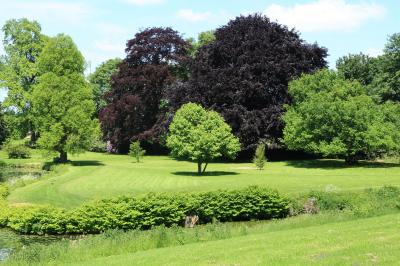 Blick in den Schlosspark