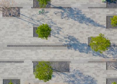 Quartiersplatz, Draufsicht mit Pflaster- und Bepflanzungsstruktur