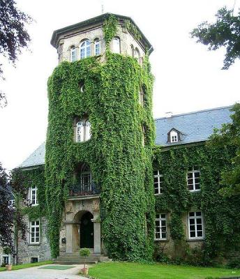 Efeubewachsener Wohnturm 