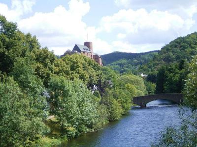 Blick über die Rur zum Grauwackefelsen mit Burg Hengebach