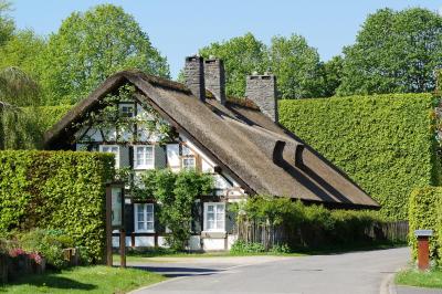 bauernhaus mit Reetdach und Windschutzhecken