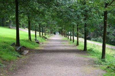 Budde-Allee im Ringeltal