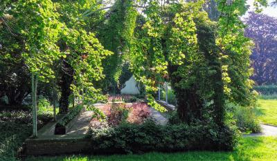 Gewächshaus im Kurpark