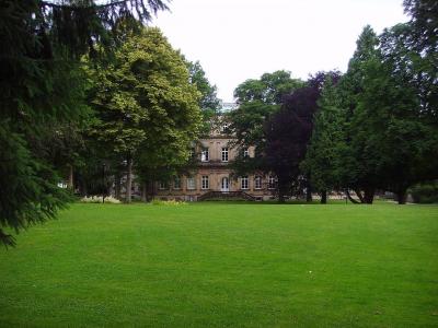 Blick auf das neue Palais durch den Palaisgarten