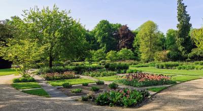 Bepflanzung Orangerieparterre