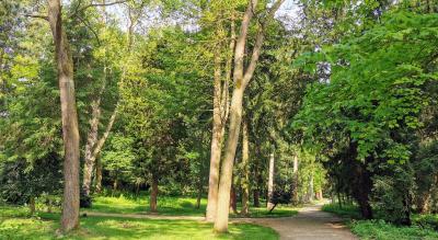 Schlosspark als Landschaftsgarten