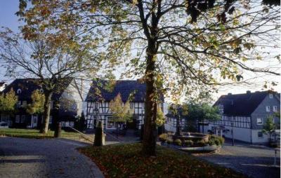 Marktplatz mit Petrusbrunnen in Hallenberg