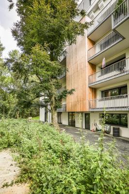 Blick von der Terrasse mit altem Baumbestand