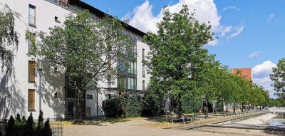 Häuserzeile Hansegracht