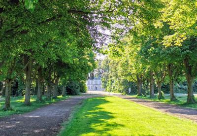 Falkenluster Allee mit Blick zum Jagdschloss Falkenlust