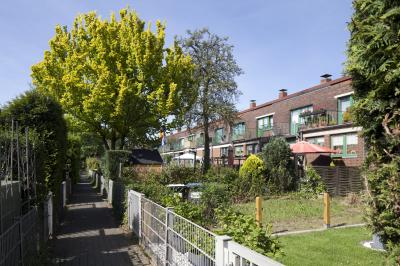 Gartenansicht der Dickelsbachsiedlung