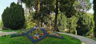 Blumenstern im Park Schloss Drachenburg