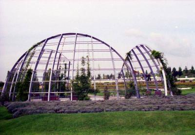 Rosengarten auf der Ebene der unerwarteten Bewegung
