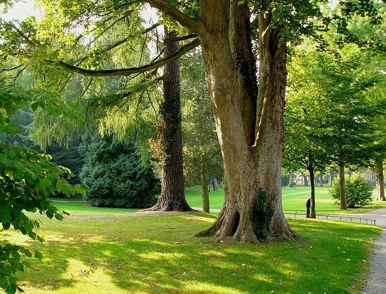 Palaisgarten Detmold