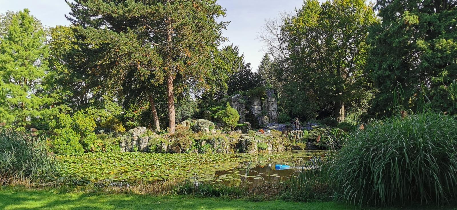 Teich im Botanischen Garten