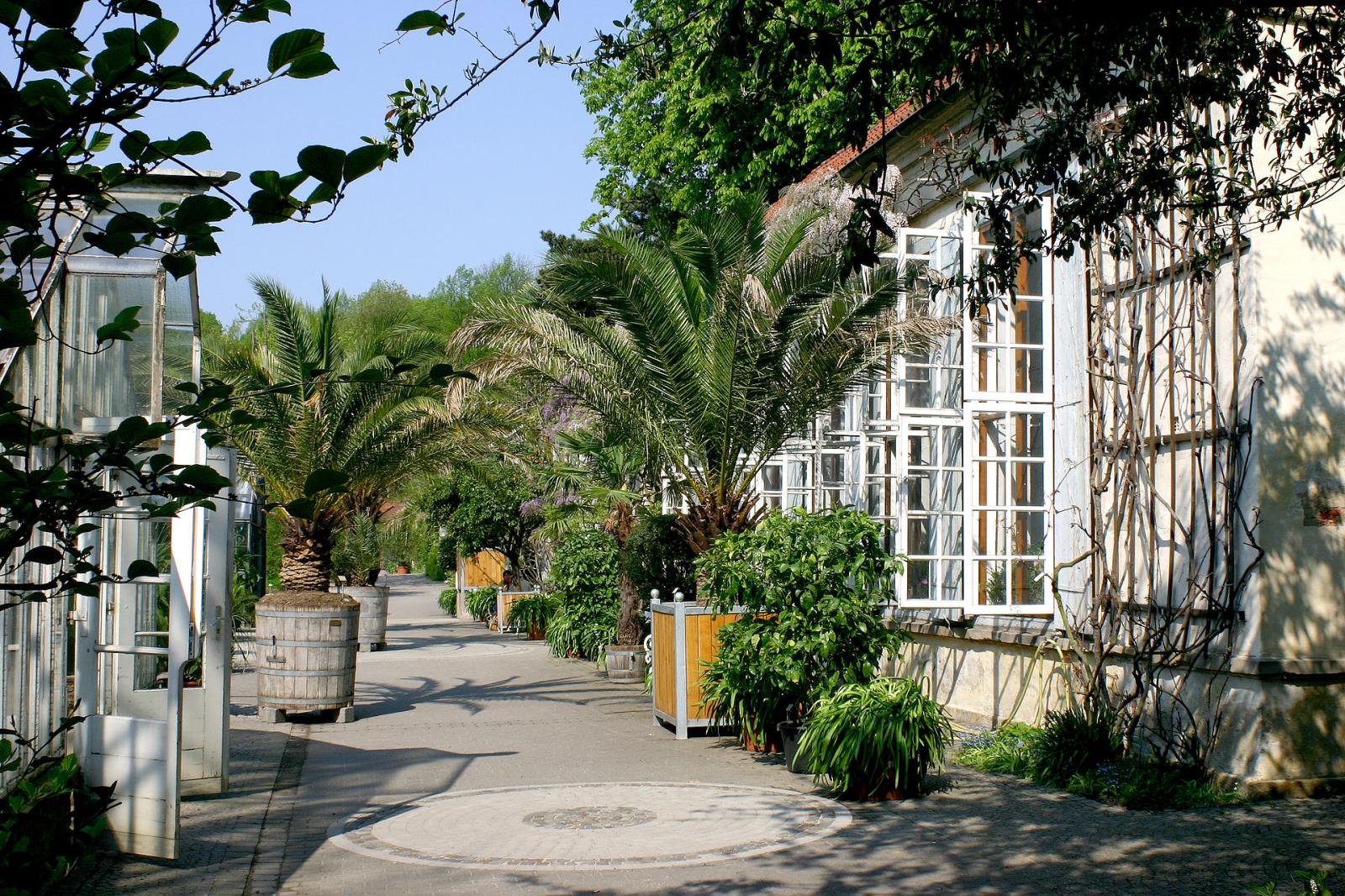 Orangerie im botanischen Garten in Münster