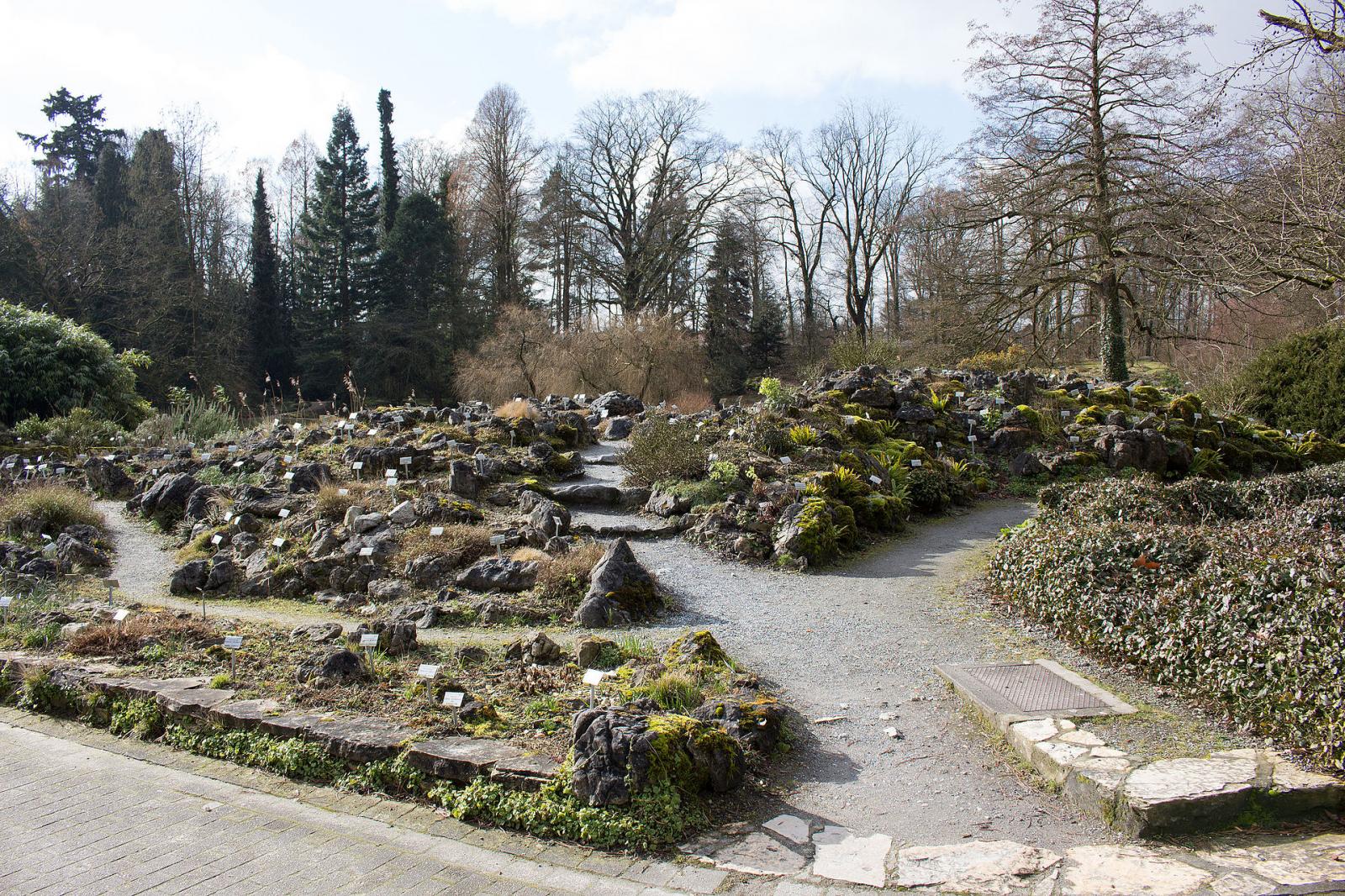 alpiner Bereich des Botanischen Gartens