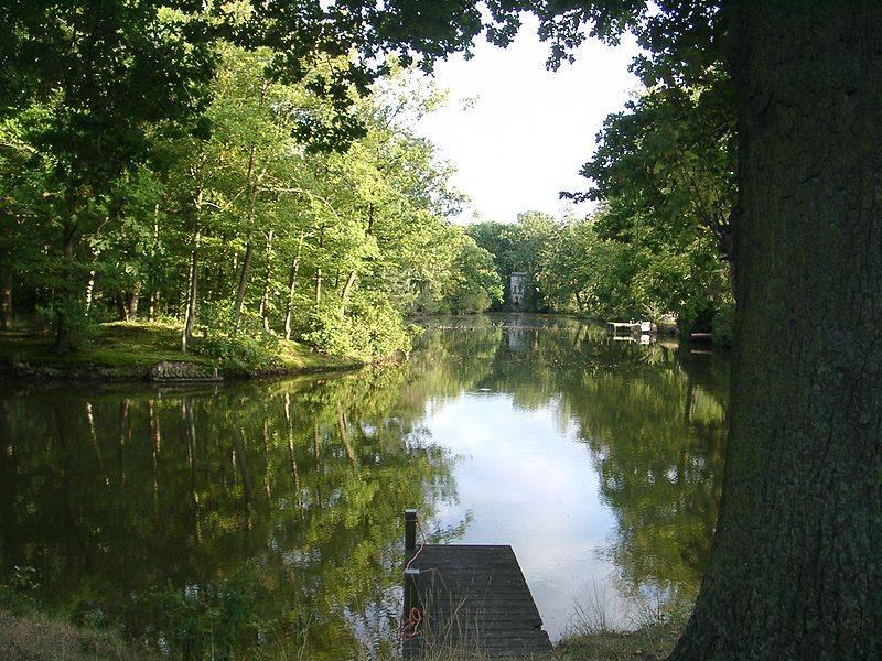 Ehemaliger Fischteich mit Baumbestand