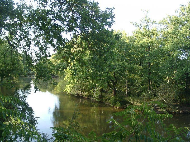 Teich im Park