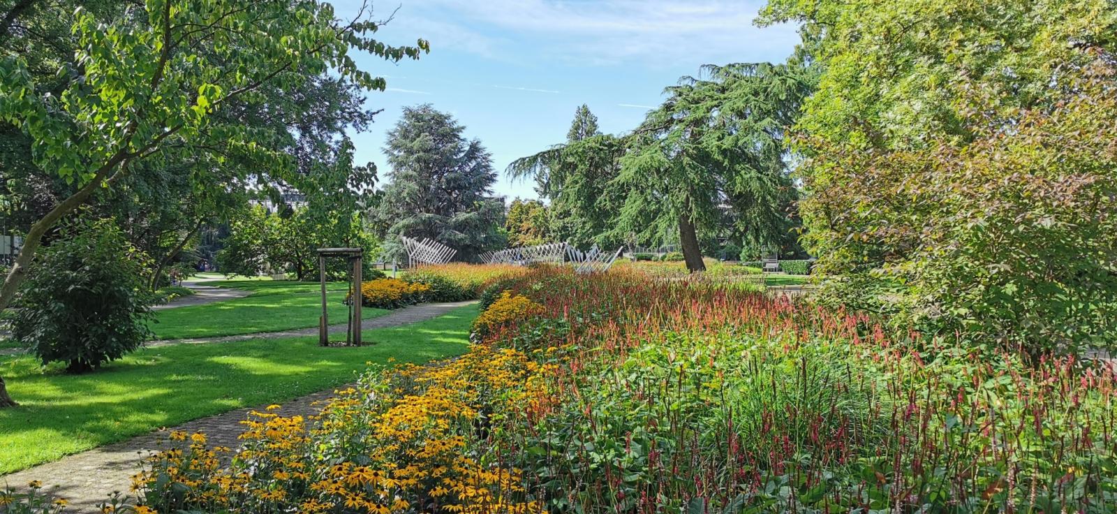 Im Rheinpark Köln
