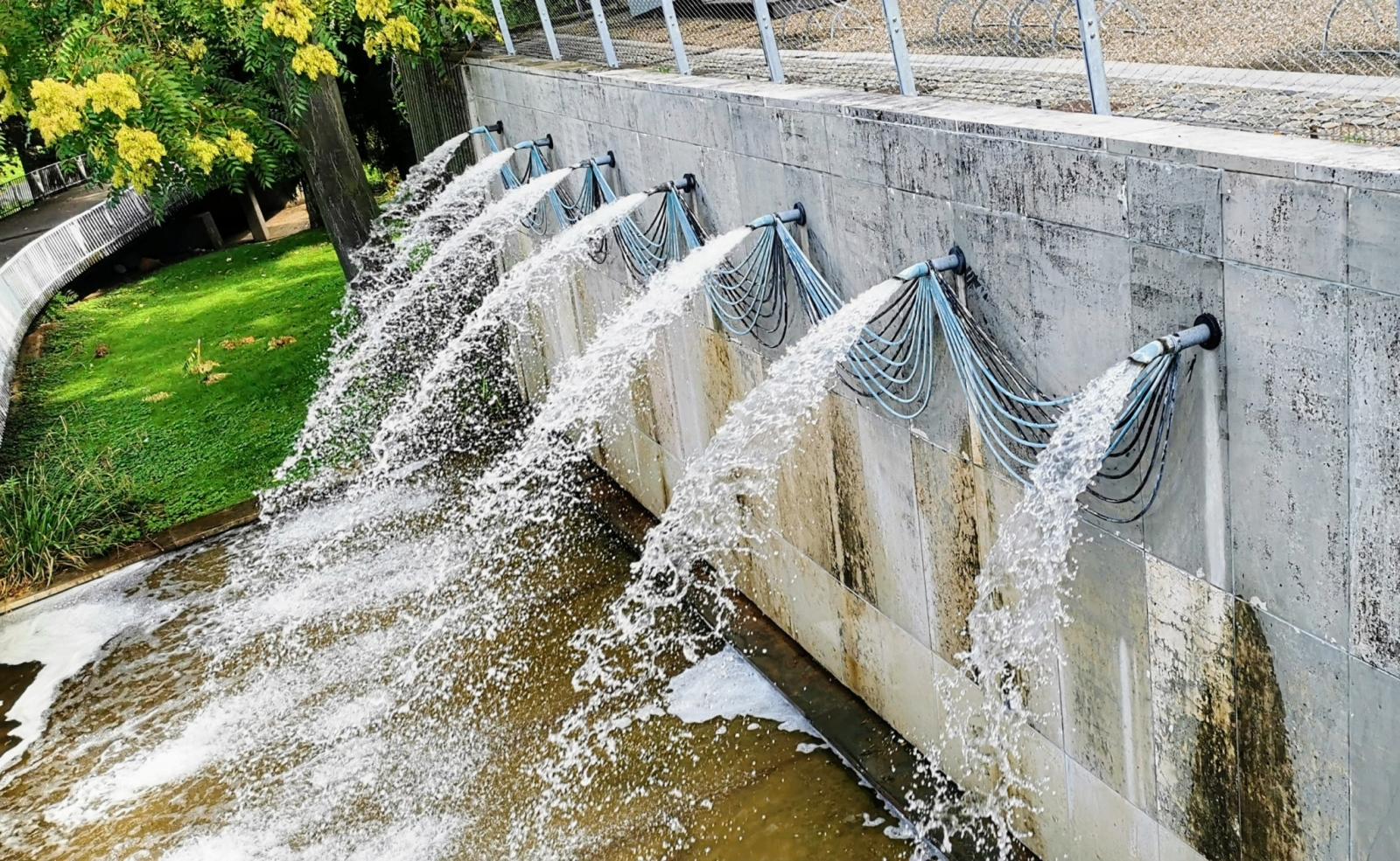Detailansicht Wasserspeier