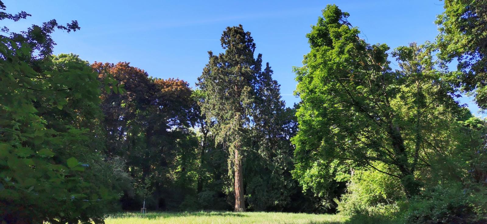 Landschaftsgarten