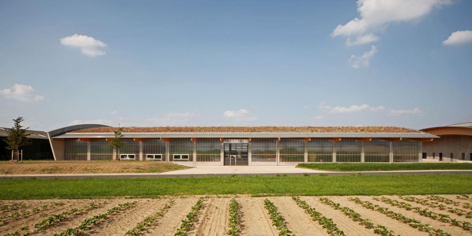 Werkstatt- und Maschinenhalle, Seitenansicht