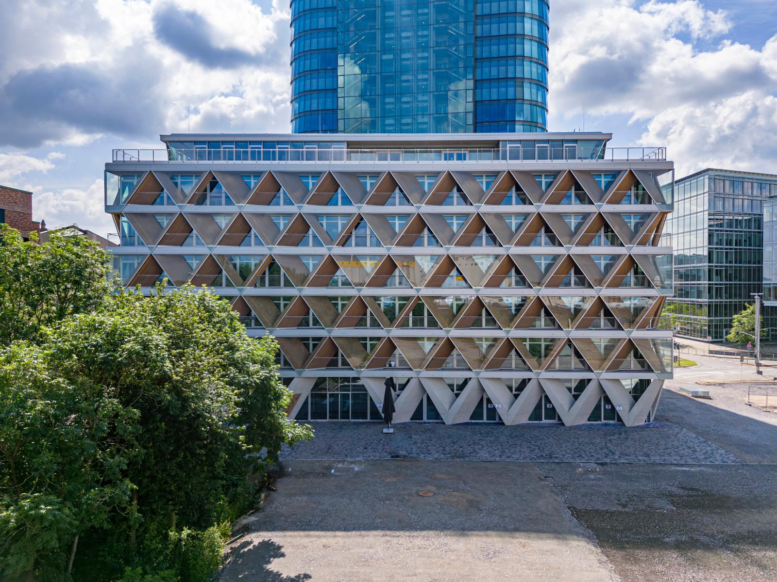 The Cradle, Seitenansicht, parametrische Holz-Hybrid-Konstrukion
