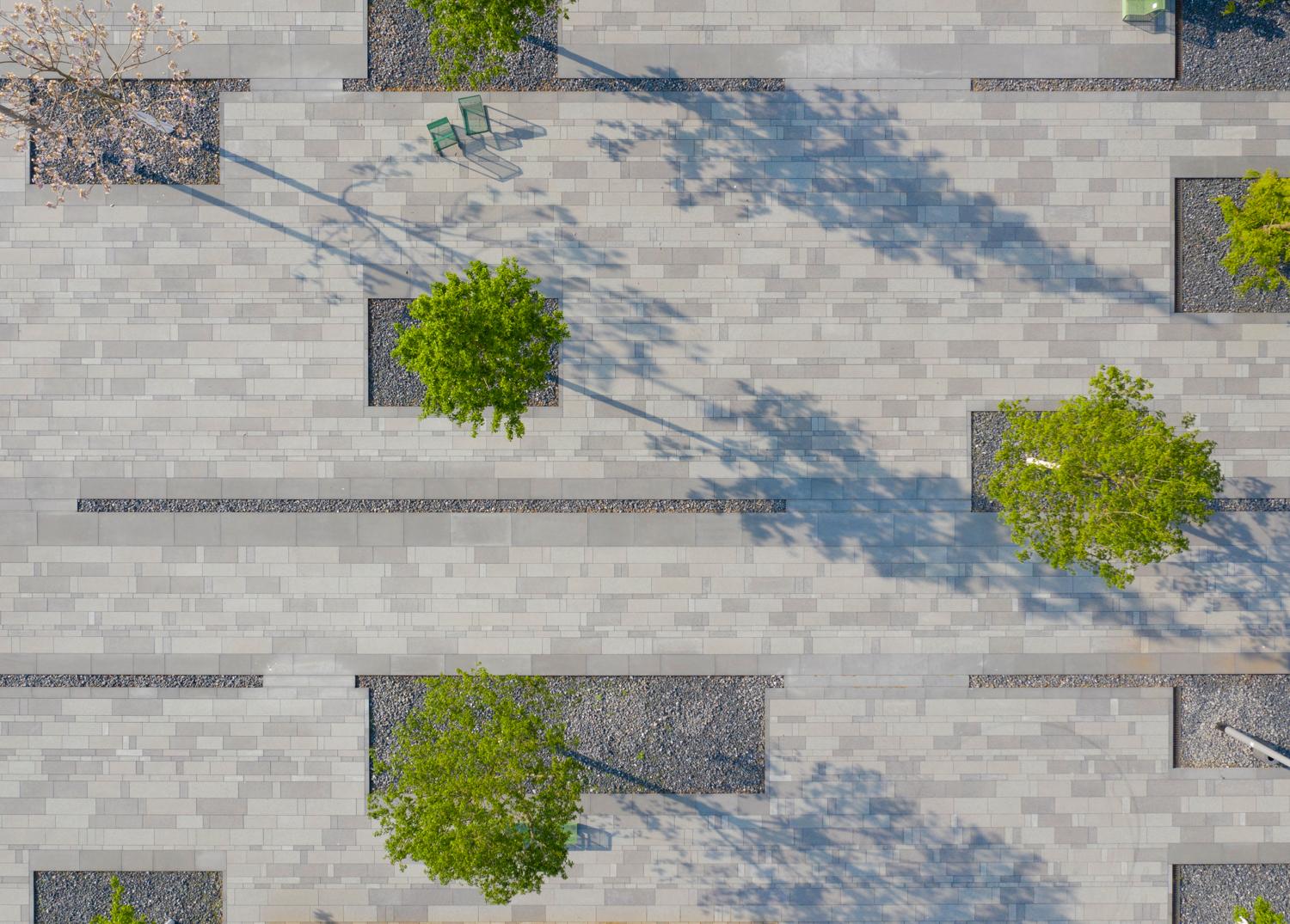 Quartiersplatz, Draufsicht mit Pflaster- und Bepflanzungsstruktur