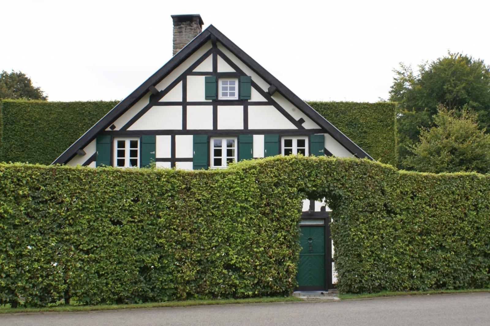 Windschutzhecke vor Bauernhaus in Monschau-Höfen