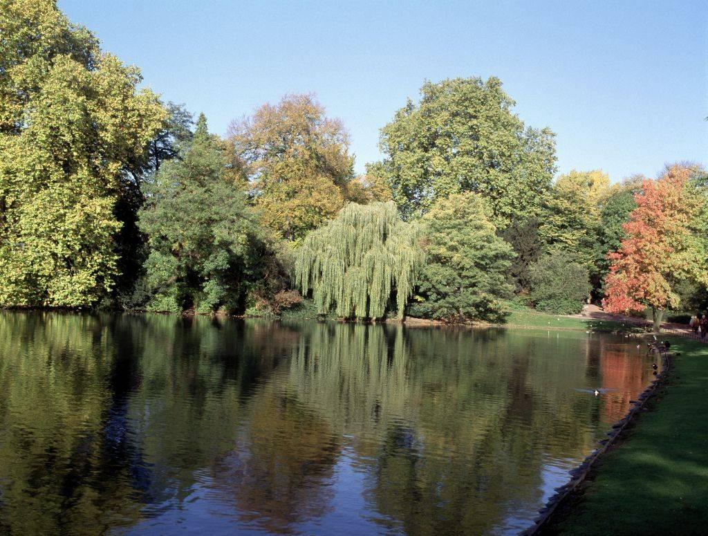 Wasserfläche im Neuen Hofgarten Düsseldorf