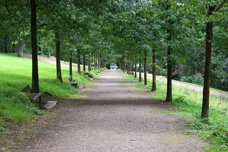 Budde-Allee im Ringeltal