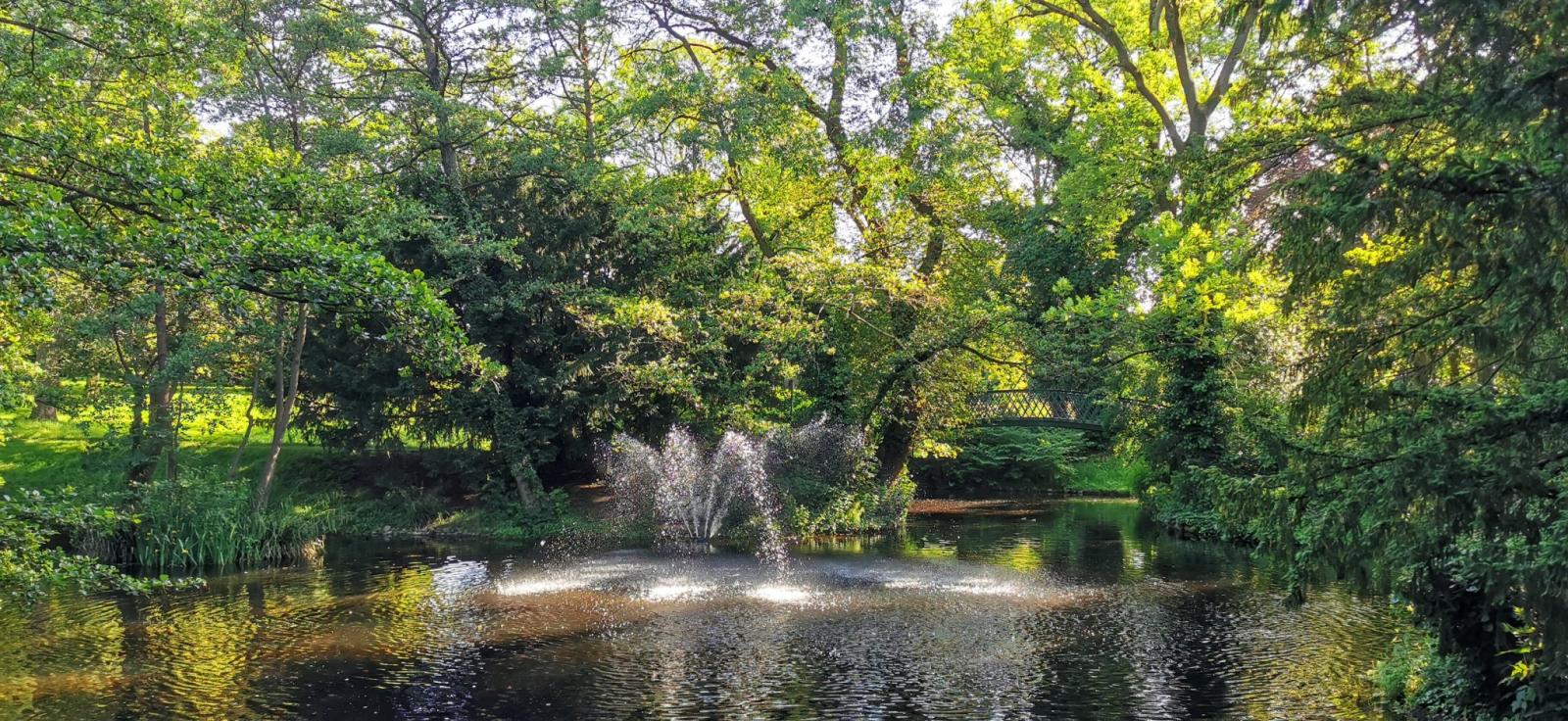 Stadtgarten Aachen mit Teich