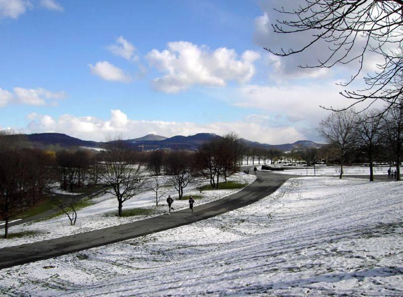 Impression des winterlichen Rheinauenparks