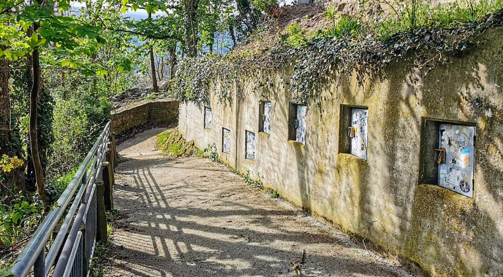 Aufgang zur Burgruine Drachenfels