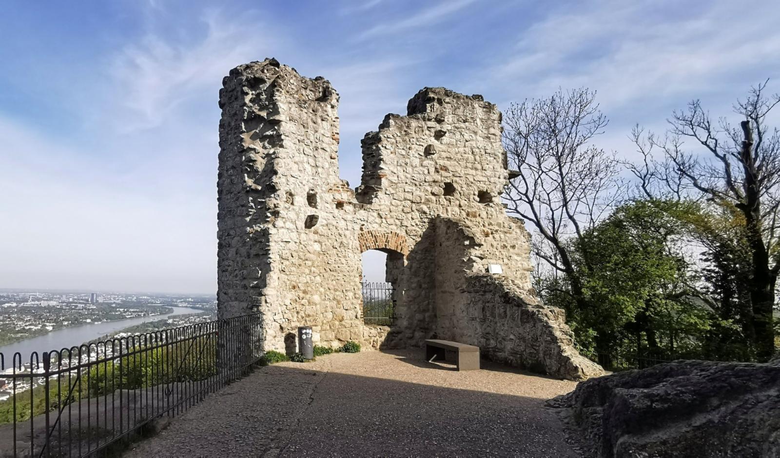 Burgruine Drachenfels mit Blick über das Rheintal