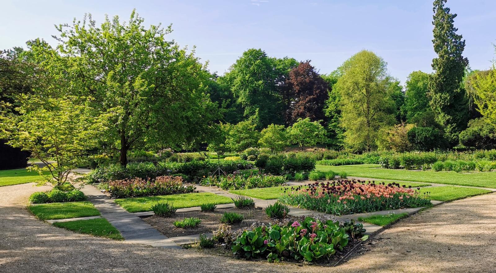 Bepflanzung Orangerieparterre