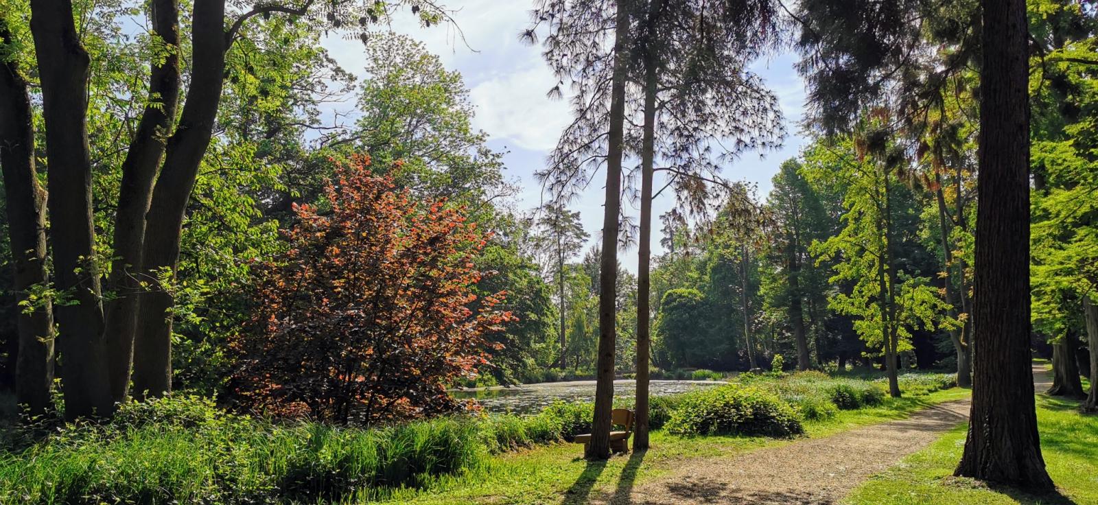 Schlosspark als Landschaftsgarten