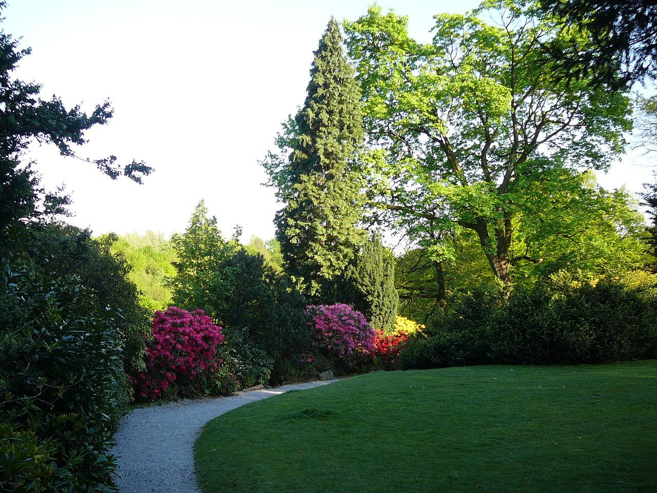 Blick auf die Rhododendren