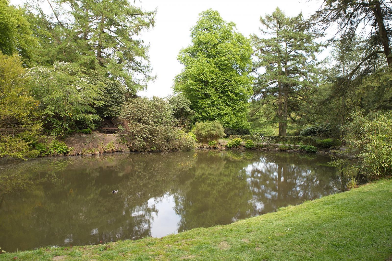 großer Teich im Park