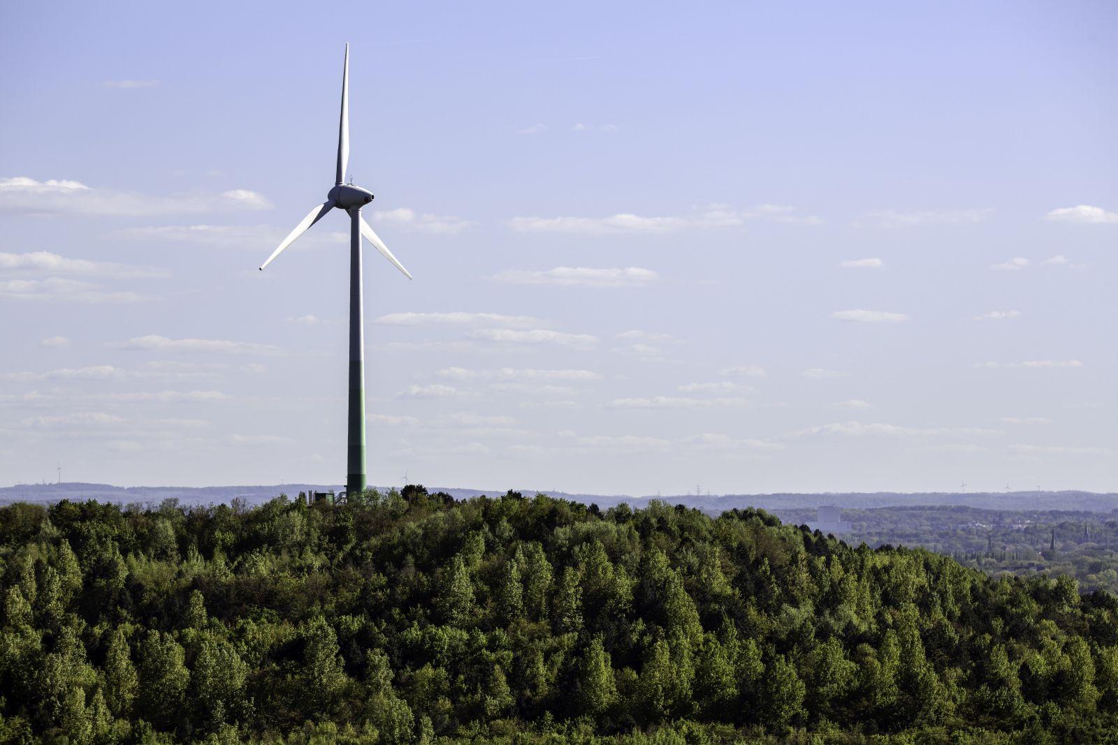 Windrad auf Halde Hoppenbruch